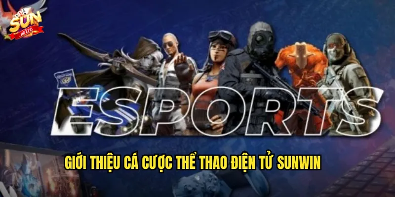 Giới Thiệu Cá Cược Thể Thao Điện Tử Sunwin