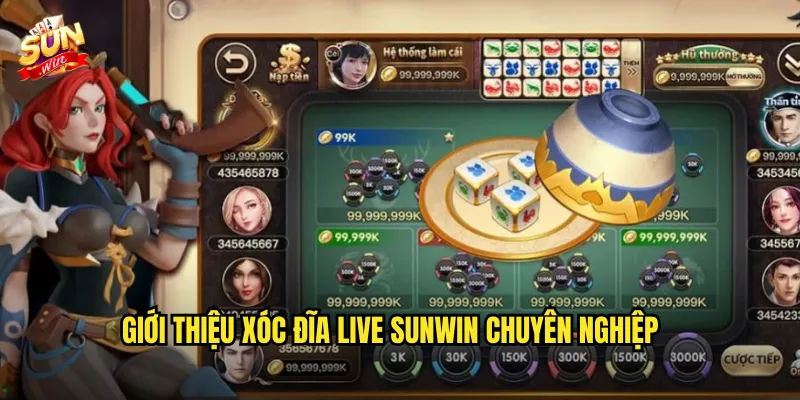 Giới Thiệu Xóc Đĩa Live Sunwin Chuyên Nghiệp